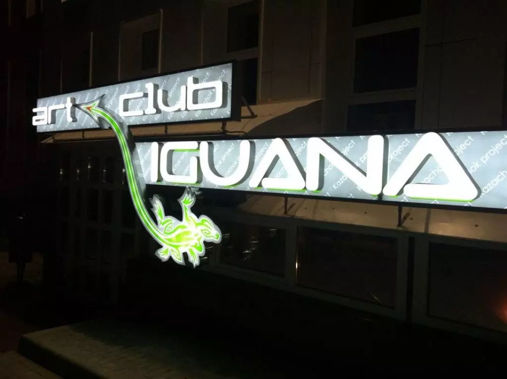 Игуана пенза. Iguana, Пенза. Клуб игуана Пенза. Iguana Art Club Пенза. Ночной клуб игуана.