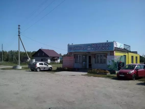 Кафе Магнат Павловск Алтайский. Кафе Фортуна Павловск Алтайский край. Павловск Алтайский край Толстого 25.